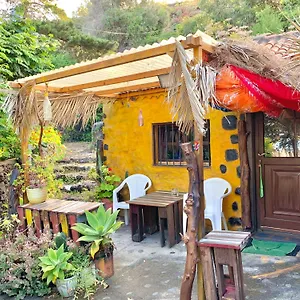 studio-mazo.in-canary-islands.com/
